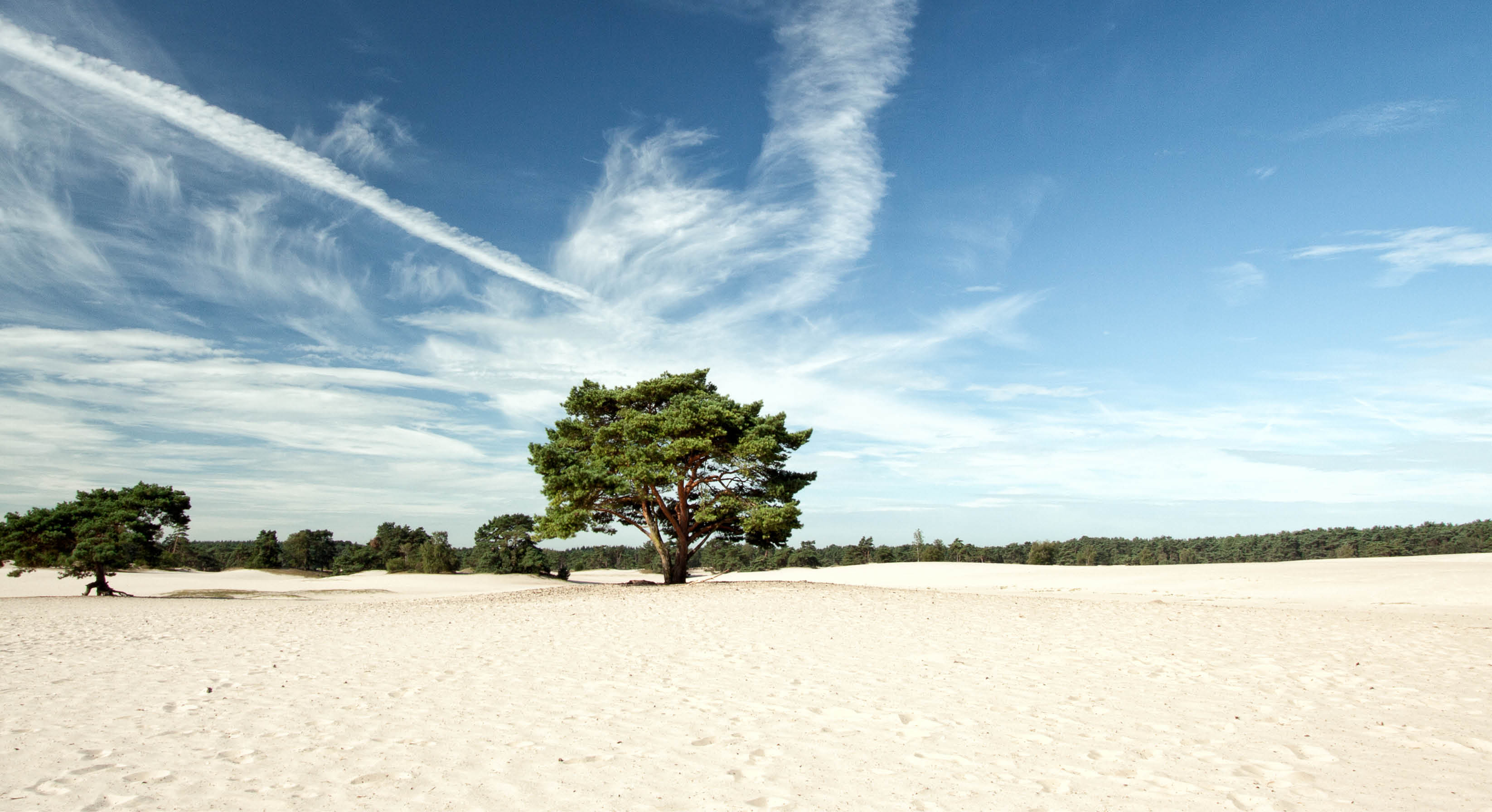 Soesterduinen